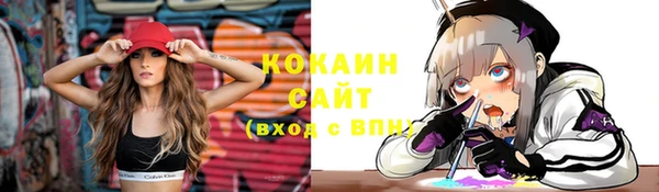 дживик Надым