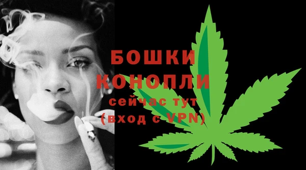гидра Наволоки