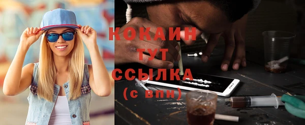 дживик Надым