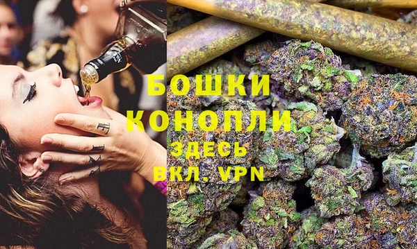 PSILOCYBIN Нефтекумск