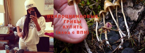 соль ск Яранск