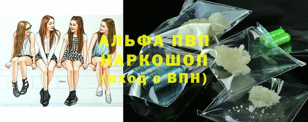 PSILOCYBIN Нефтекумск