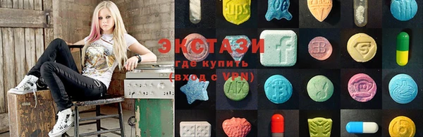 дживик Надым